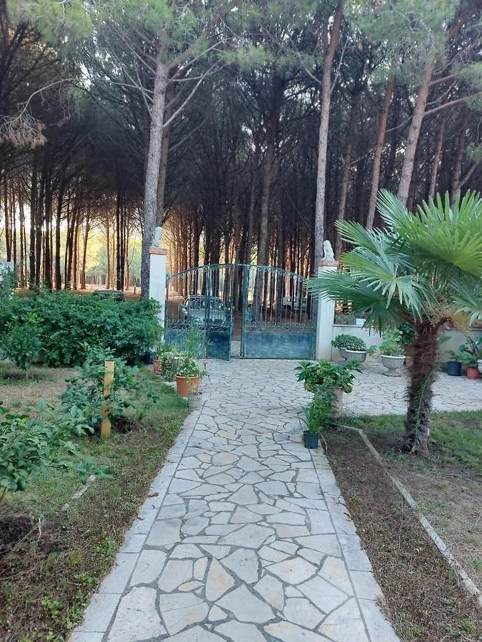 Velipojë Villa Viluni בית נופש